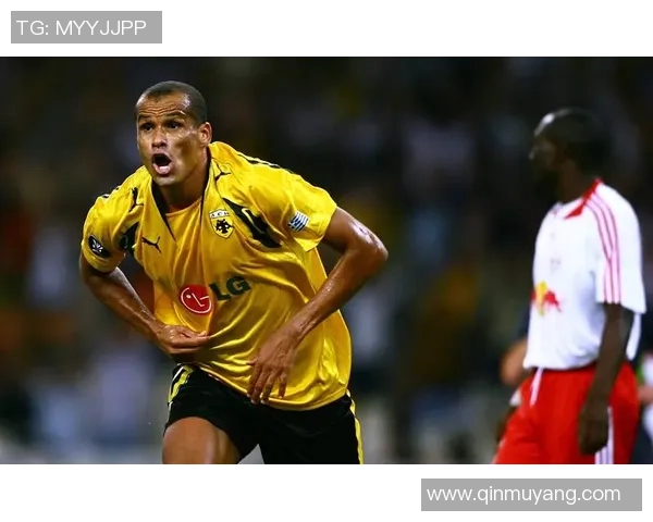 历届世界第一足球明星盘点与传奇崛起之路分析