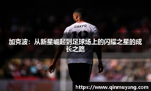加克波：从新星崛起到足球场上的闪耀之星的成长之路